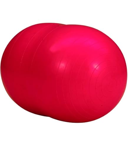 Amazon | ギムニク(GYMNIC) フィジオロール 55 黄 LP8802 イタリア製